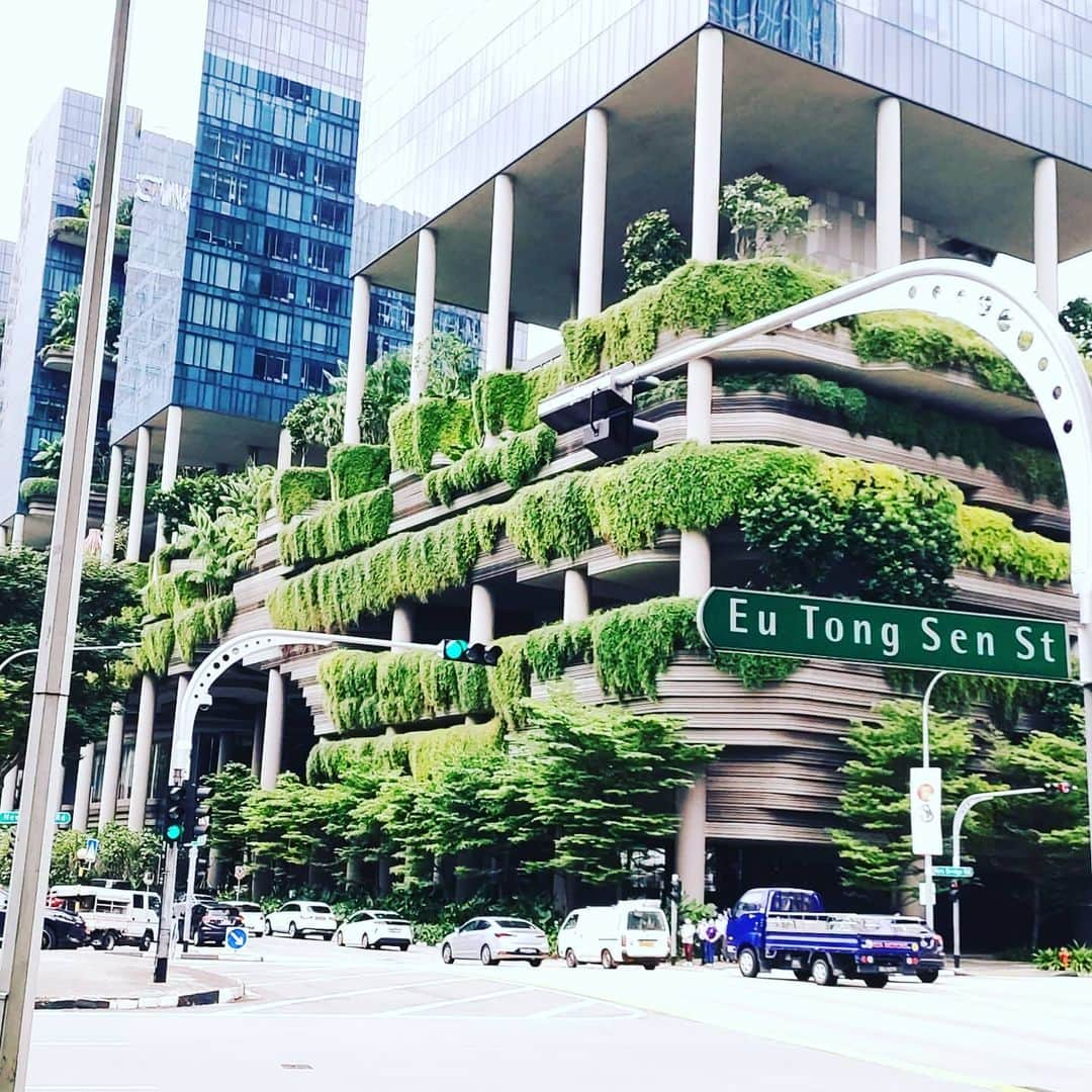 有坂翔太さんのインスタグラム写真 - (有坂翔太Instagram)「Anyway, one of the best things about Singapore is the coexistence of buildings and greenery. It's like being in a forest in the city. I love both forests and cities. It's just like a combination of Okinawa and Tokyo. シンガポールの良いところは、建物と緑が共存しているところ😀😀都会の中の森の中にいるような感じです。私は森も都会も大好き🤣」1月27日 17時24分 - shotaarisaka