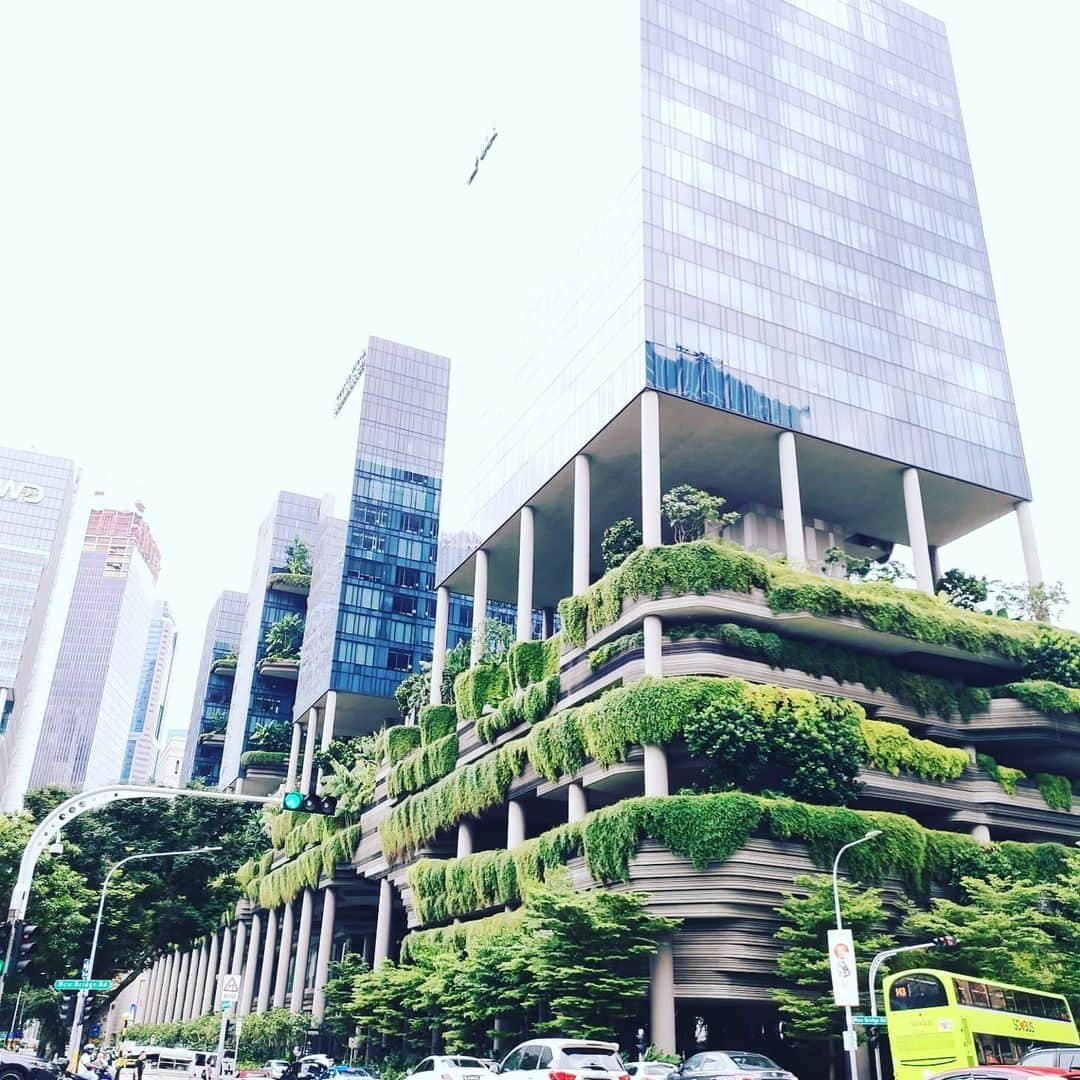 有坂翔太のインスタグラム：「Anyway, one of the best things about Singapore is the coexistence of buildings and greenery. It's like being in a forest in the city. I love both forests and cities. It's just like a combination of Okinawa and Tokyo. シンガポールの良いところは、建物と緑が共存しているところ😀😀都会の中の森の中にいるような感じです。私は森も都会も大好き🤣」