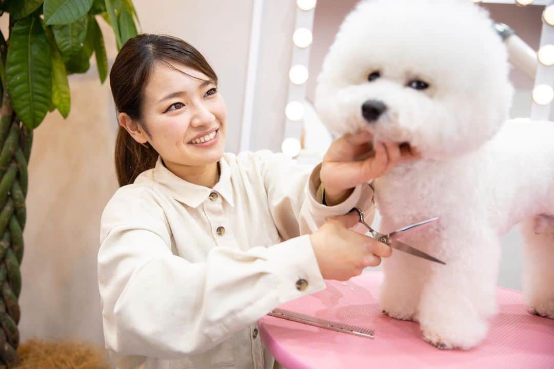 【公式】福岡ECO動物海洋専門学校のインスタグラム：「・ 夢を叶えた卒業生✨ ・ 福岡ECOのペットトリマー専攻を卒業して、ペットサロンを開業した卒業生に会いに行ってきました❣️ ・ 素敵な笑顔で働く彼女の姿はとても輝いていました😊✨ ・ #福岡ECO #福岡ECO動物海洋専門学校 #ペットトリマー #DOGSALON #Chulip #dogsalon_chulip #fukuoka #fukuokaeco」