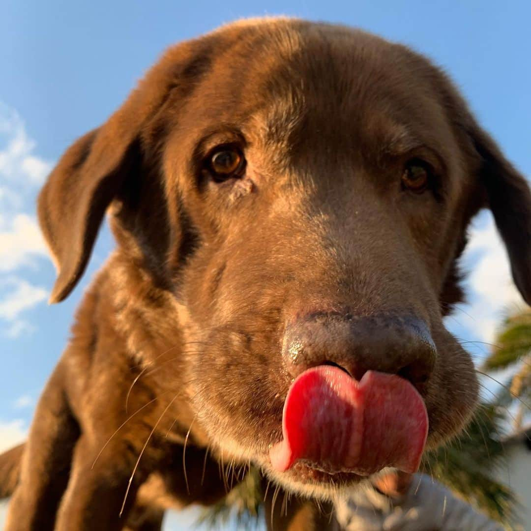 須田なつきさんのインスタグラム写真 - (須田なつきInstagram)「Happy birthday BUDDY🤎✨ . あいしてるっ🥰　#0125」1月27日 18時16分 - natsukisuda_