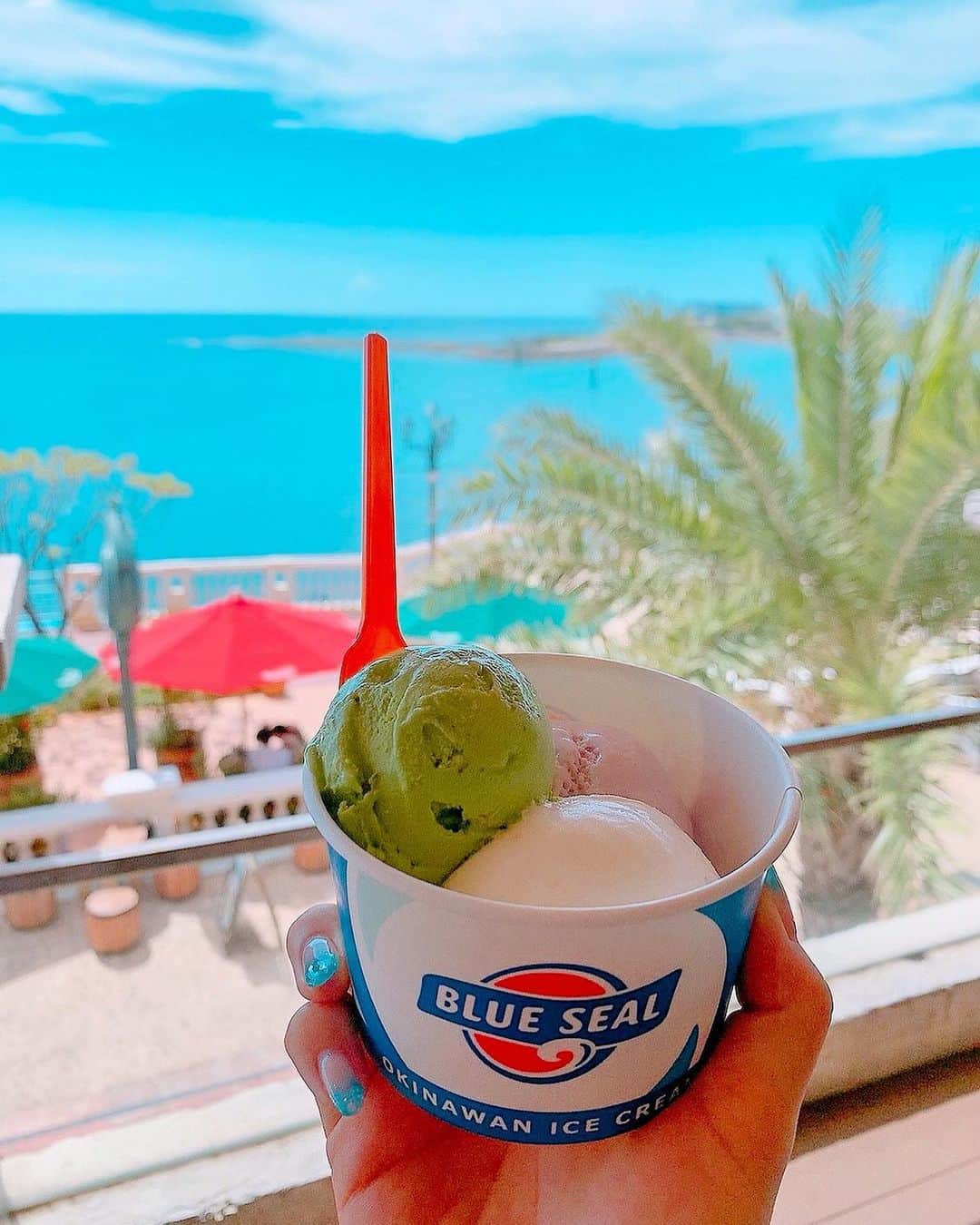 中山千恵子のインスタグラム：「blue seal🍨  #blueseal#okinawa#icecream#sea#travel  #アメリカンビレッジ#snacktime#沖縄#ドライブ」