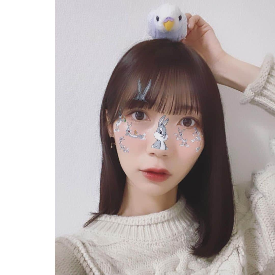 江嶋綾恵梨さんのインスタグラム写真 - (江嶋綾恵梨Instagram)「おもち、、、ではない🦜💙笑」1月27日 18時26分 - aeringoooo