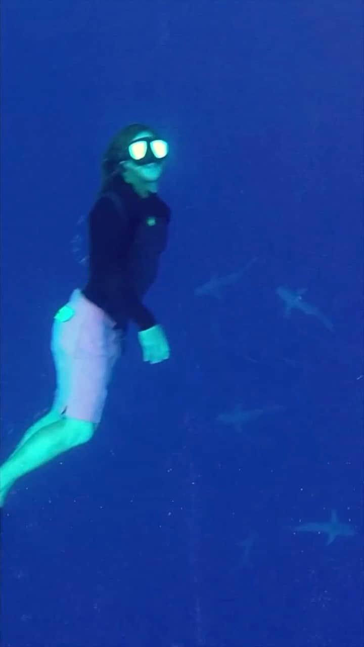 ボディーグローブのインスタグラム