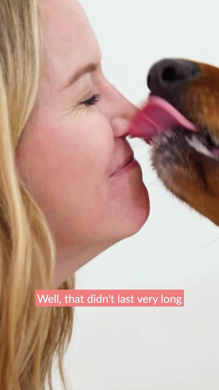 DogsOf Instagramのインスタグラム：「By now, you've probably heard how CBD can be beneficial for both humans and pets alike. For those new to the conversation, CBD is a derived from hemp or cannabis and does not contain THC, which is the substance that produces a high for its users.   In 2018, a Cornell study reported 80% of osteoarthritis dogs who used CBD showed “significant improvement in pain levels and quality of life”.   In a world where too many pets are homeless, abandoned, or returned, CBD seems to offer a ray of hope. The potential to steady a dog’s nerves long enough to charm a family, relieve a joint pain, aid in separation anxiety, or help behave when meeting new people could make all the difference in a pet’s life. Incorporating CBD into a consistent routine is one practice that can support this transition and pave the way for calm, happy families.   Link in bio to read more about how CBD can help animals or donate a CBD product to a shelter pet through @welovecuddly!   #dogsofinstagram #cbdforpets #cbdhealth #theanxiouspet #releasethepeace #relaxandroll @theanxiouspet」