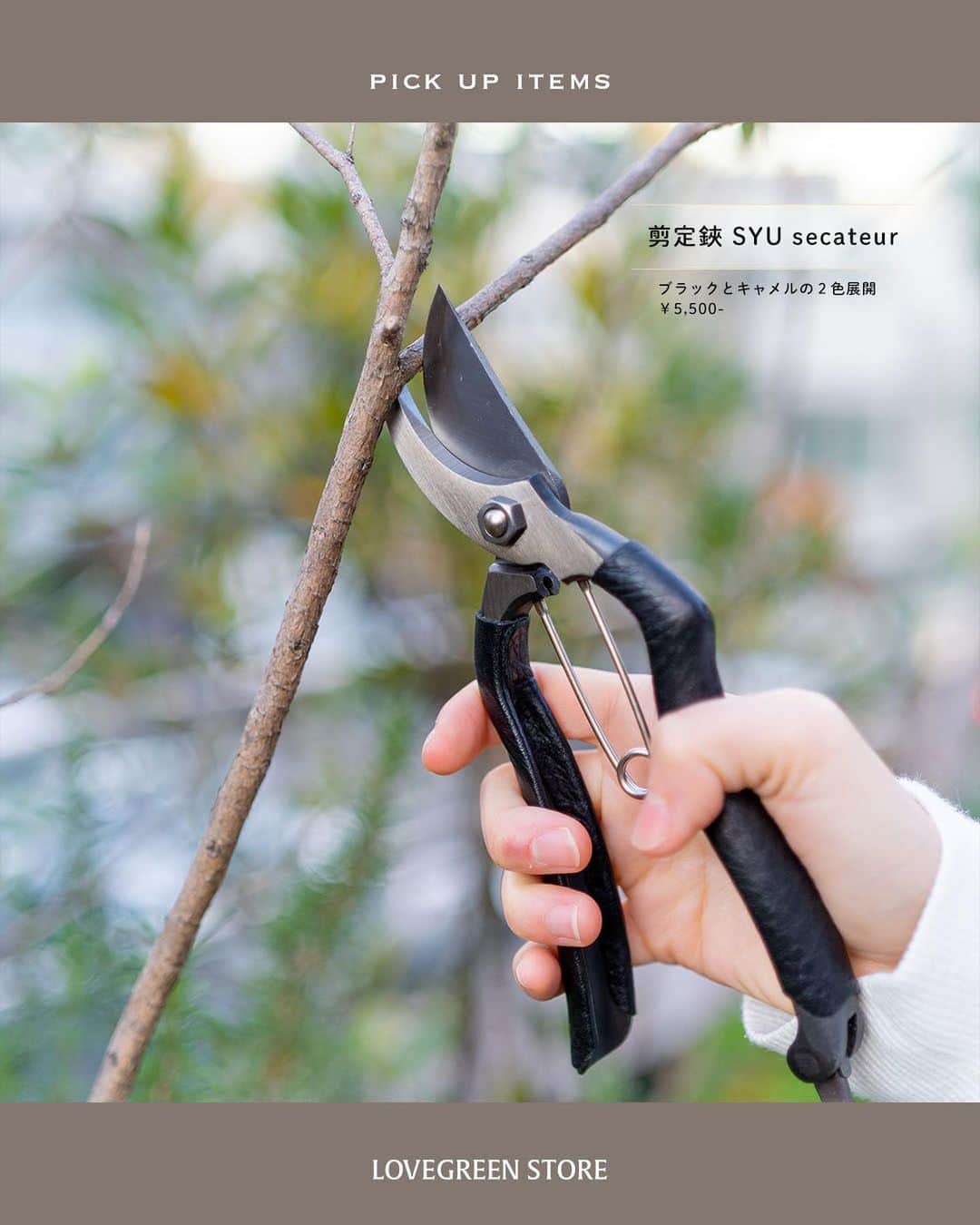 LOVEGREEN -植物と暮らしを豊かに。さんのインスタグラム写真 - (LOVEGREEN -植物と暮らしを豊かに。Instagram)「こだわりと伝統が生んだ機能美  【剪定鋏 SYU secateur】  日本人の手の幅と大きさを考えて作られた、独特の形。 貼り付けられた優しい肌触りの本革。  この２つが生み出すのは抜群の扱いやすさです。  手にフィットする形状と、滑らずに握り込める本革のおかげで、 力を分散させることなく刃に伝えるので、 枝などの太いものでも少ない力で楽に切ることができます  こだわりを持って作られた１本は、使いやすさはもちろん 「持つ喜び」も感じられます 持ち手に施された本革は、使うほどに手にしっくりと馴染みます。 キャメルは使い込むと革の色の変化も楽しめ、 徐々に自分だけのはさみに育ってくれます。  メンテナンス用の椿油と替えバネも付属しています。 良いものを手入れする時間も楽しんでいただけます。  長く愛用できる剪定鋏です。  プロフィールのリンクからも、お値段やサイズなど詳しい情報がご覧いただけます。 → @lovegreen_official   #ガーデニング #ガーデニング初心者 #ガーデニング雑貨 #ガーデニングツール #剪定鋏 #伝統技術 #庭 #庭のある暮らし #庭の手入れ #植物のある暮らし #植物のある生活」1月27日 21時01分 - lovegreen_official