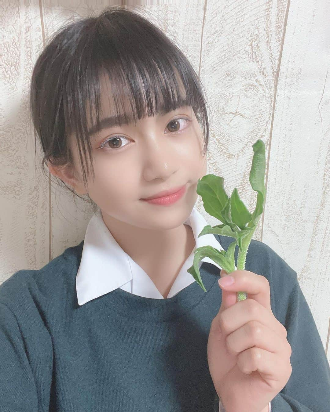 永田りあなさんのインスタグラム写真 - (永田りあなInstagram)「・ 大好きな野菜紹介🙃 ・ ・ 茎とかにぷちぷち したのが付いてて キラキラしてるの🤍🤍 いつもポン酢をかけて 食べてるよ😉🤍🤍 ・ ・ ・ #cuugal  #キューガル  #キューガルモデル  #永田りあな  #りあな  #06  #1月  #january  #アイスプラント  #ハンバーグ」1月27日 21時23分 - riana1119