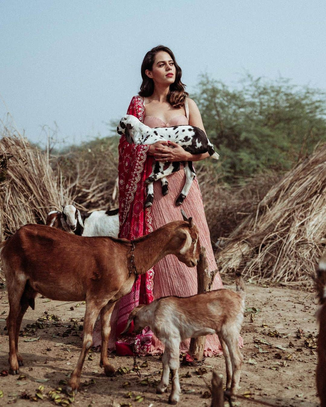 Aakriti Ranaさんのインスタグラム写真 - (Aakriti RanaInstagram)「Look at these cuties man! I loveee animals. I want to have a lil place of my own in the mountains where I can keep cows, sheep, alpacas, giraffes, donkeys and doggos with me haha!  Do you feeeeel meee? 😋  Outfit from @faabiianaofficial  📸 @shivamphotoworks  Art Direction - @_shrutichawla_  Styling - @adi.anjaani   #aakritirana #lookbook #ethnic #indianwear #saree #village #indianvillage #sareelove #goat #animals #outfitoftheday」1月27日 21時32分 - aakritiranaofficial