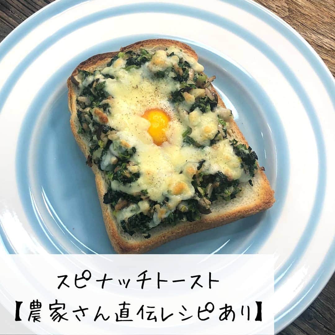 らでぃっしゅぼーやのインスタグラム