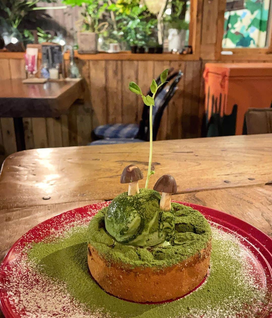 近藤夏奈のインスタグラム：「﻿#時差投稿  ﻿ ﻿ ﻿ ☕︎福島カフェ☕︎﻿ かき氷とチーズケーキのお店🍧🧀﻿ ﻿ ﻿ チーズケーキと抹茶は最高の組み合わせ🌿💗﻿ 他の種類も食べてみたい🥰﻿ ﻿ ﻿ 店主さんのお人柄とお店の雰囲気に﻿ 癒されてリフレッシュできました◎﻿ .﻿ .﻿ ﻿ @cafe12_cafetwelve   ﻿ ﻿ ﻿」