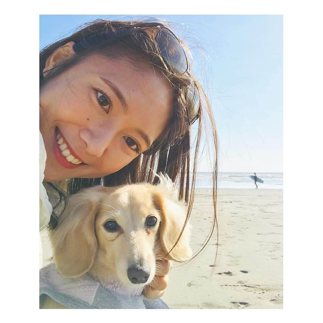 小林由未子さんのインスタグラム写真 - (小林由未子Instagram)「. 寒かった日の海🐶 (いつの写真だろうか...)  #海と犬   #いぬすたぐらむ  #いぬのいる暮らし  #ミニチュアダックス  #カニヘンダックス」1月27日 22時25分 - _yumikobayashi_