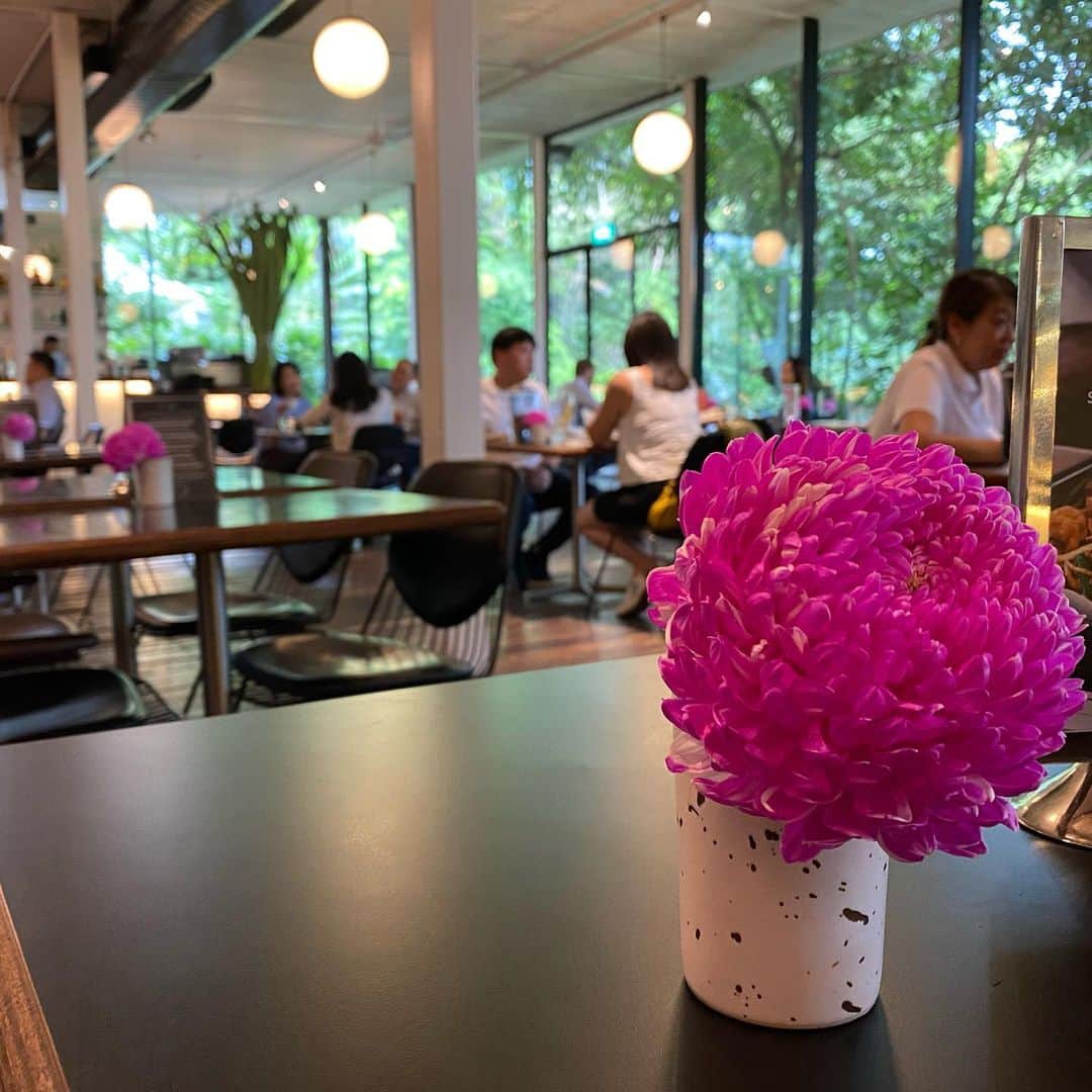 大西蘭のインスタグラム：「・ 久しぶりのDempsey。 ・ ps cafeはChinese new year のデコレーションがされていて、可愛かった💕 ・ 店内から緑が見えて、とても気持ちの良い空間。 ・ 雨上がりだったからか、緑がより鮮やかにイキイキして見えました🌿🪴🌱 ・ ・ 📍  PS.Cafe at Harding 28B Harding Rd, Singapore 249549 ・ ・ #pscafe #pscafesingapore #singaporecafe  #sg #sgfood #singapore #singaporelife﻿ #デンプシー #ピーエスカフェ #料理 #グルメ #レストラン #シンガポール #シンガポール駐在 #シンガポールグルメ #シンガポールカフェ #シンガポール生活 #シンガポールライフ #シンガポール在住 #シンガポール暮らし #シンガポール観光 #シンガポールランチ #シンガポールおすすめ」