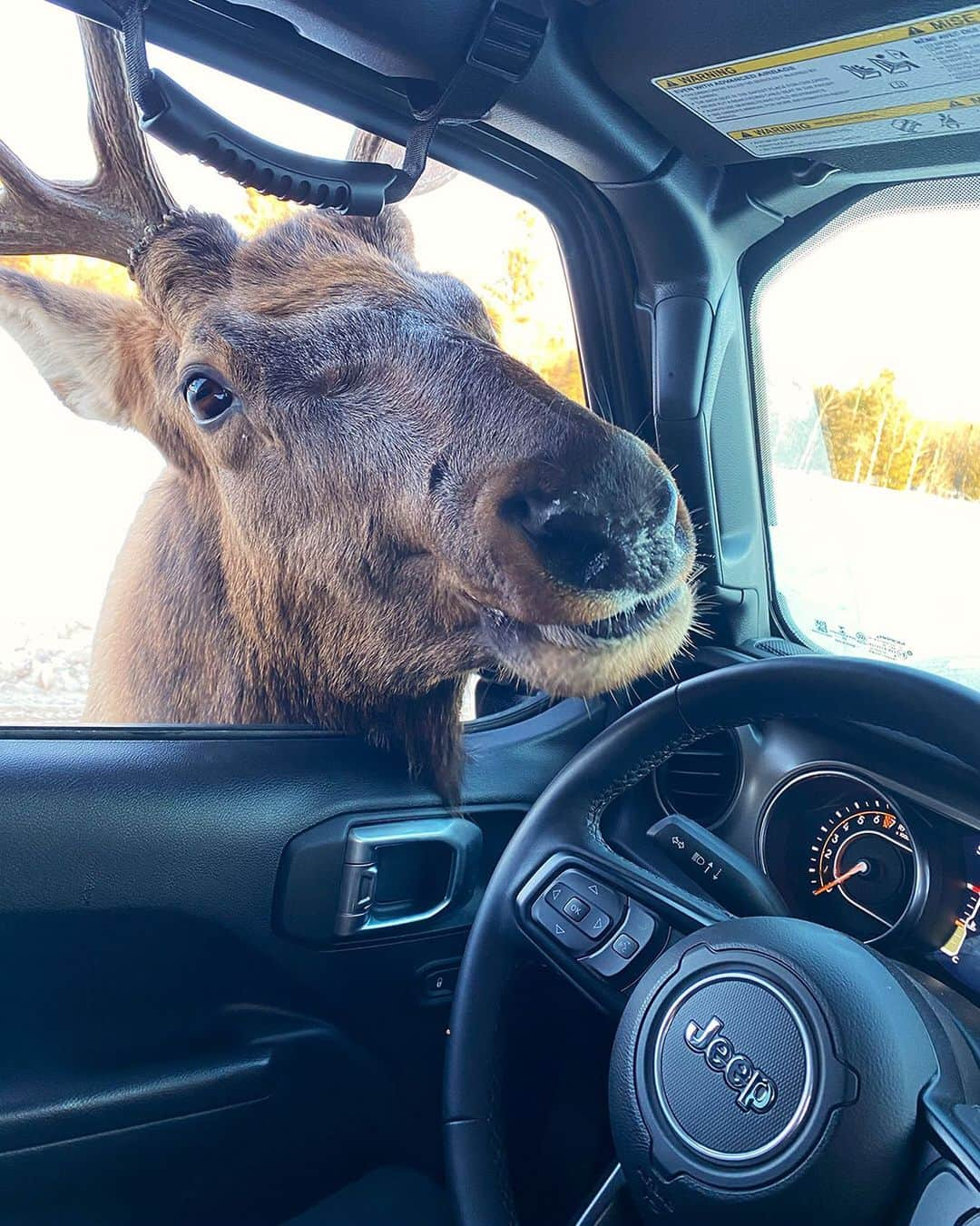 Jeepのインスタグラム