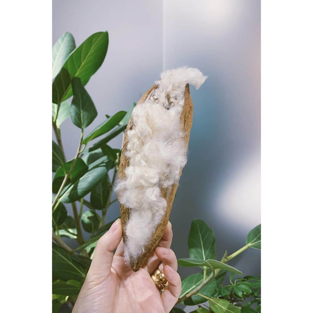 eriのインスタグラム
