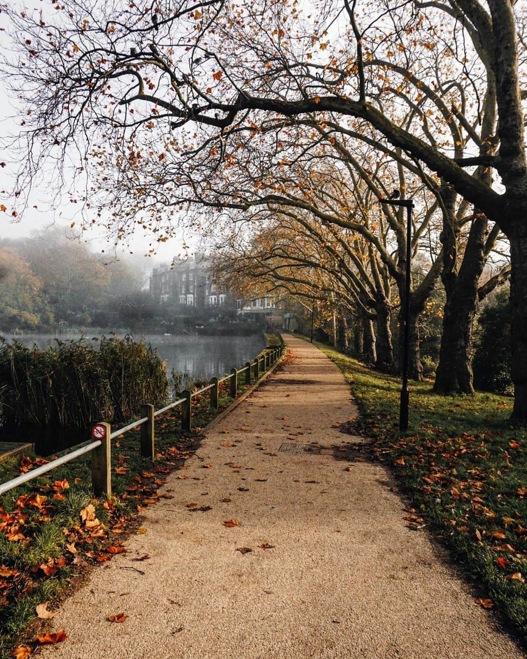 MR PORTERのインスタグラム：「Rather than escaping to the wilderness this week, we are focusing on enjoying what's right on our doorstep. For so many of us, our daily stroll has become a lifeline - but it's easy to keep walking the same lap around the park without paying much attention. Next time you go out, we encourage you to take a look around, maybe choose a different route - you might just discover a new corner of the city. 📸 @theseptemberchronicles #MRPORTERHealthInMind」