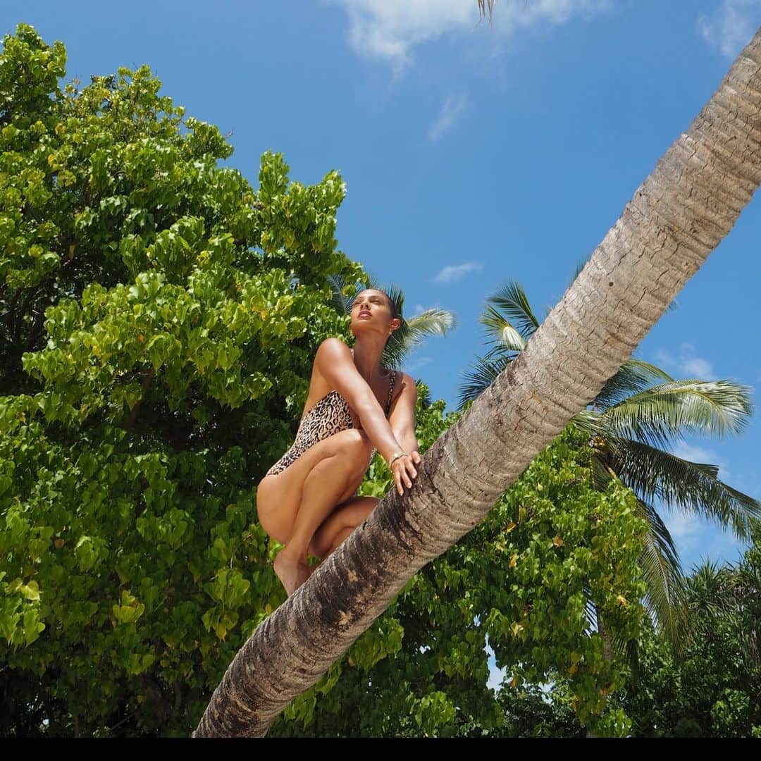 アリーシャ・ディクソンさんのインスタグラム写真 - (アリーシャ・ディクソンInstagram)「Missing this beautiful island! Just looking at this blue sky makes me feel good! 🏝 @noholdenback I didn’t forget your tree pic request! 😉」1月27日 23時44分 - aleshaofficial