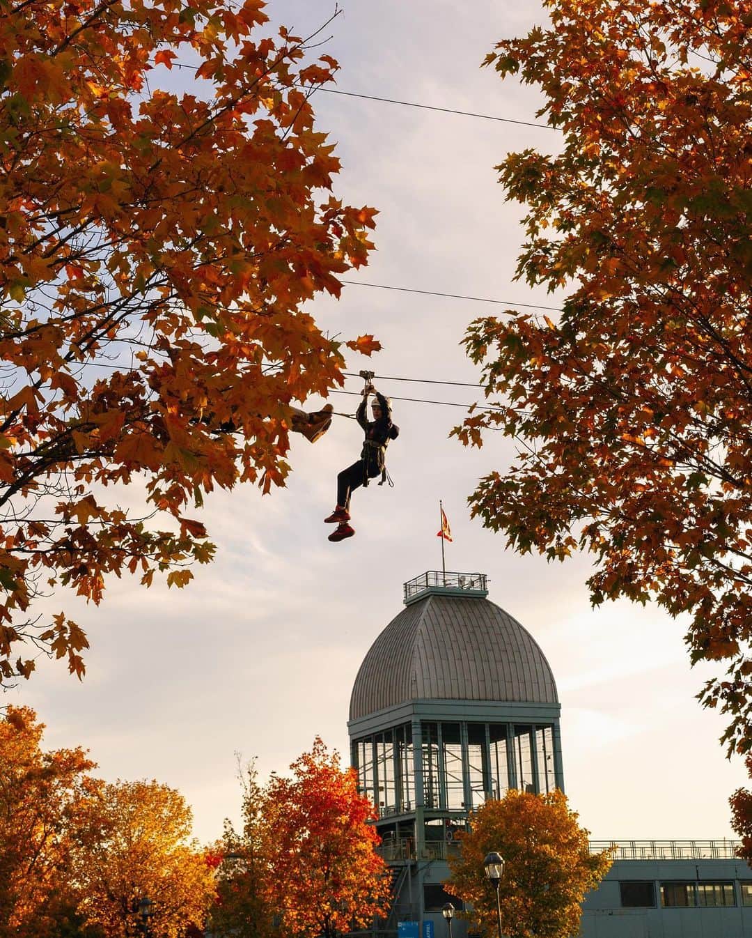 National Geographic Travelさんのインスタグラム写真 - (National Geographic TravelInstagram)「Photos by @MichaelGeorge / Details of fall in Montreal, from a stroll along the river in October 2019. You’ll see bright trees through a rainy café window, a classic orange van beneath a yellow tree, the Ferris wheel seemingly bursting from the treetops, a massive crowd of seagulls dining on crabapples, and a young zip liner getting some help from a staff member because they weren’t heavy enough to make it all the way. For more photos and writing from my travels, follow along @MichaelGeorge. #montreal #fall #autumn #zipline #seagulls」1月28日 0時38分 - natgeotravel