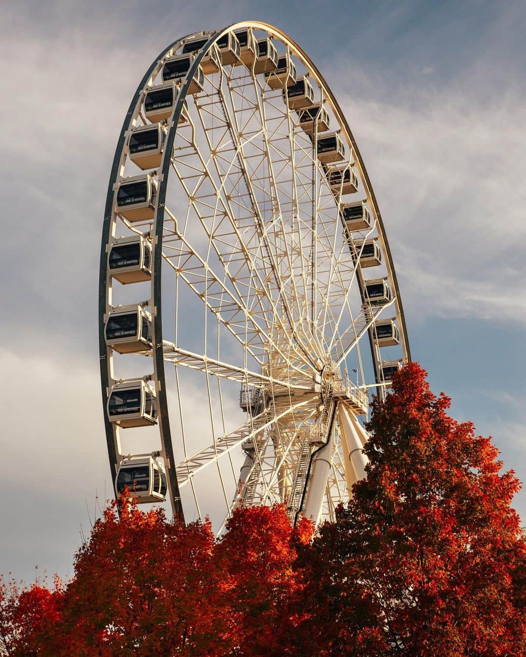 National Geographic Travelさんのインスタグラム写真 - (National Geographic TravelInstagram)「Photos by @MichaelGeorge / Details of fall in Montreal, from a stroll along the river in October 2019. You’ll see bright trees through a rainy café window, a classic orange van beneath a yellow tree, the Ferris wheel seemingly bursting from the treetops, a massive crowd of seagulls dining on crabapples, and a young zip liner getting some help from a staff member because they weren’t heavy enough to make it all the way. For more photos and writing from my travels, follow along @MichaelGeorge. #montreal #fall #autumn #zipline #seagulls」1月28日 0時38分 - natgeotravel