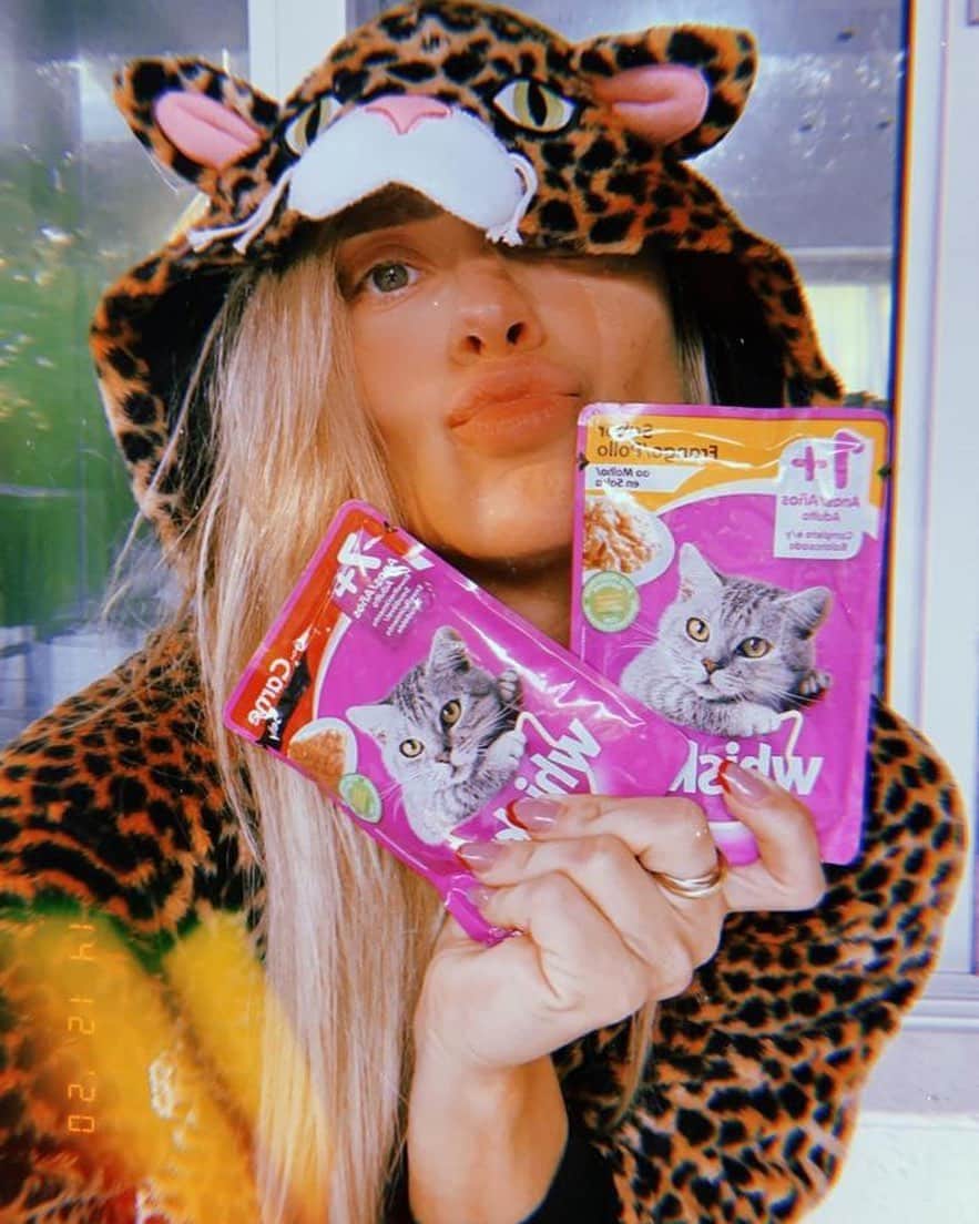 カロライナディークマンのインスタグラム：「alguma gatinha e gatinho online? por aqui o chili já veio me pedir seu prato predileto @meugatowhiskas sachê...  💜 #ad」