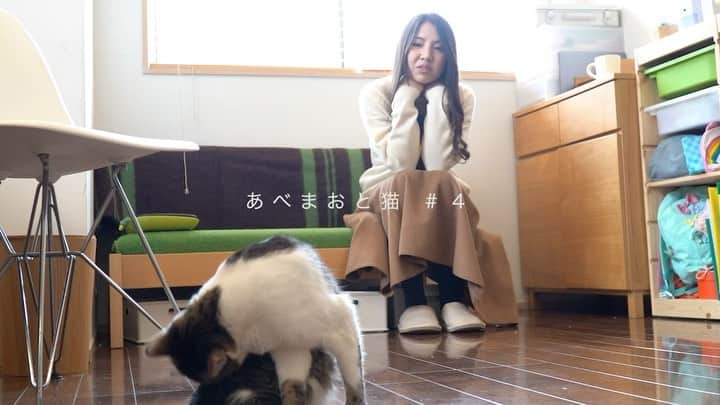 阿部真央のインスタグラム：「愛する家族の手術は 本当に不安で心配で胸がいっぱいになります。  大好きな存在と一緒に時を刻める幸せを改めて感じます。 一緒に居られるって奇跡なんだな。  今日も素敵な気持ちを本当にありがとうございました。心があったかい  @tx_ozineko  #おじさまと猫 #あべまおと猫 #阿部真央」