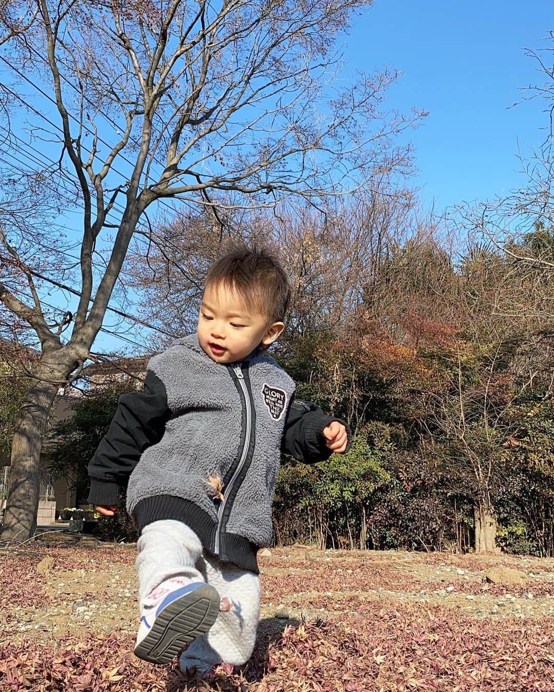 Momoeのインスタグラム：「子供は葉っぱでさえも おもちゃになります🍁 子供には子供にしか 見えない景色があるからな☺️ 何でも好きなことやろうな☺️💖  . .  #happy #家事 #育児 #family #家族 #boy #smile #男の子 #息子 #code #love #lucky #kids #子供 #thankyou #宝物 #ベビー #fashion #follow #心 #縁 #パパ #ママ #家族写真 #男の子ママ」