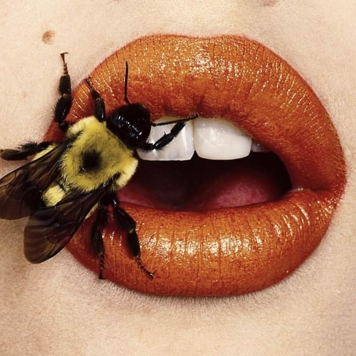 マーカスルプファーのインスタグラム：「Not one to try at home!  [Image credit: Irving Penn, 1995, 'Bee on Lips']  #MarkusLupfer #Inspiration」