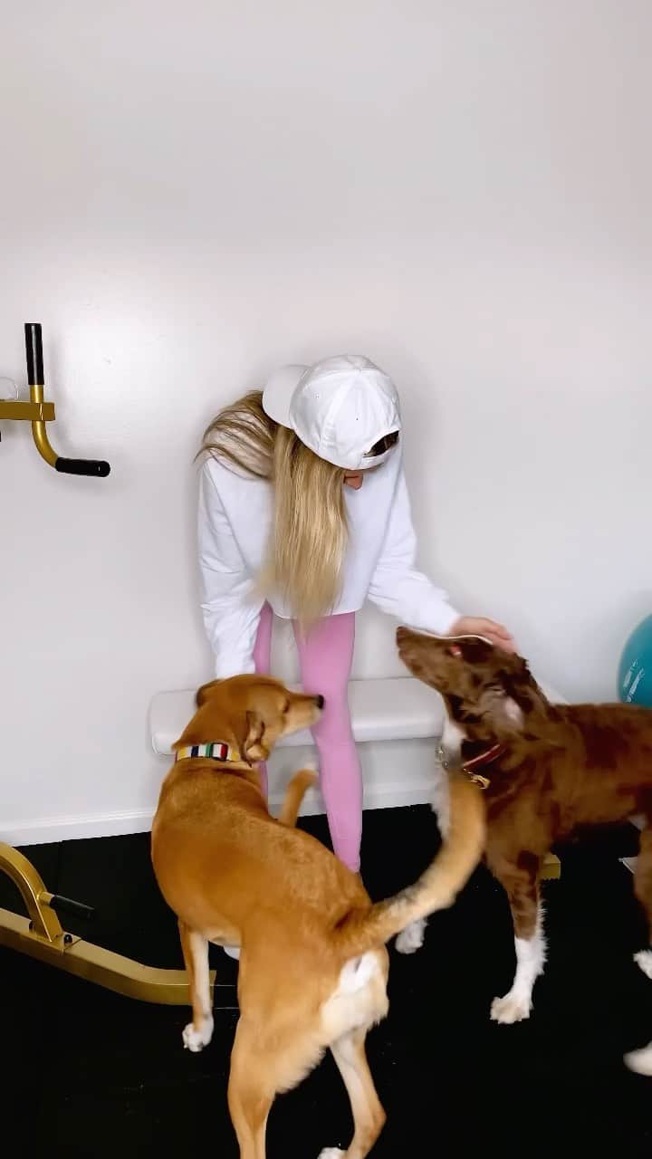 ダニエル・クヌッドソンのインスタグラム：「💞New PARISIAN PINK Drop @alo @aloyoga 💞 And an extra work out buddy 🐾 our foster Jojo.」