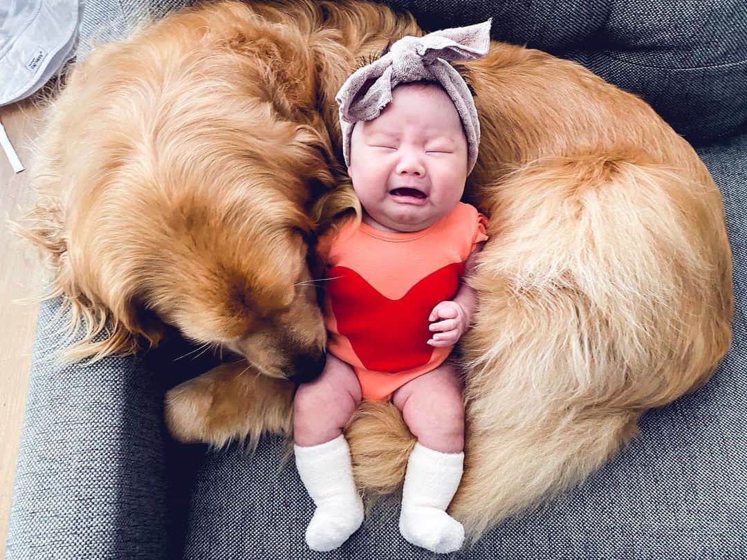 Buddy Boo Blueのインスタグラム：「When you realize it’s not Friday.」