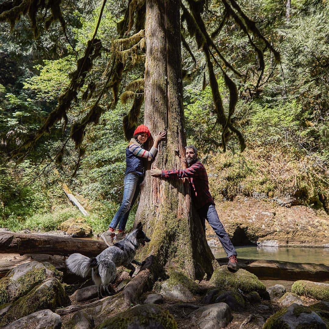 キーンのインスタグラム：「Have you hugged a tree today? Giving back to nature takes many forms, and it can only take 5 minutes. Link in bio for tips on how you can make a difference.」
