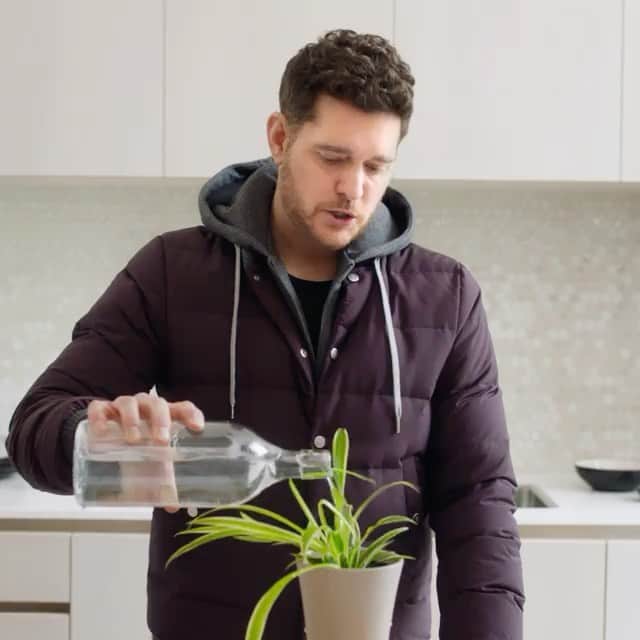 マイケル・ブーブレのインスタグラム：「Today is Bell Let’s Talk Day and simply watching this video helps support mental health. For every view of the official Bell Let’s Talk Day video and every tweet and retweet using #BellLetsTalk, Bell will donate 5¢ to Canadian mental health initiatives. Join the conversation.」