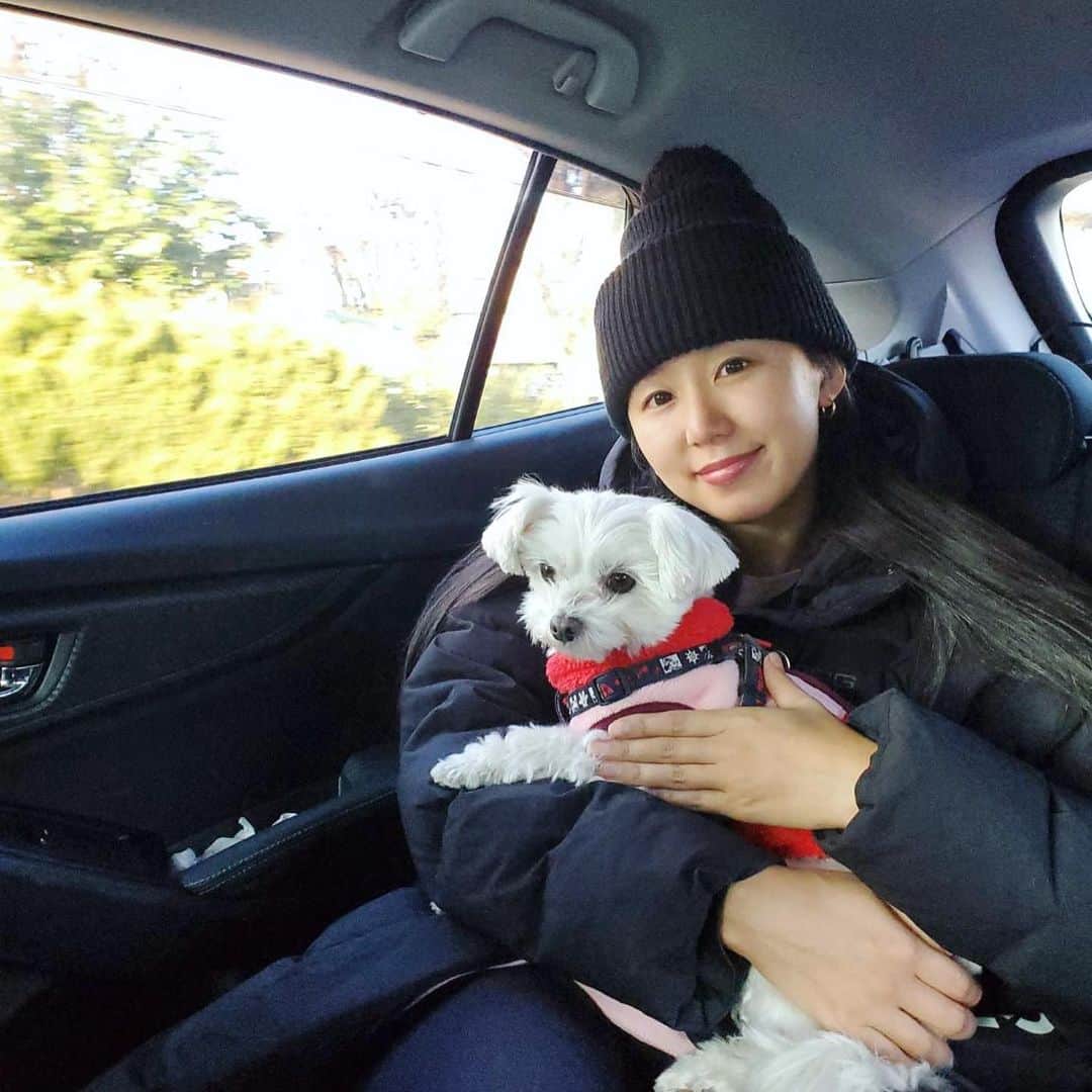 澤山璃奈さんのインスタグラム写真 - (澤山璃奈Instagram)「#こたりな 🐶🧜🏽‍♀️💖  #保護犬　#里親　#マルチーズ　#チワワ　#ちわまる #買う命より救う命の選択を　#毎日すっぴん　#dogstagram #doglover」1月28日 13時35分 - rinasawayama