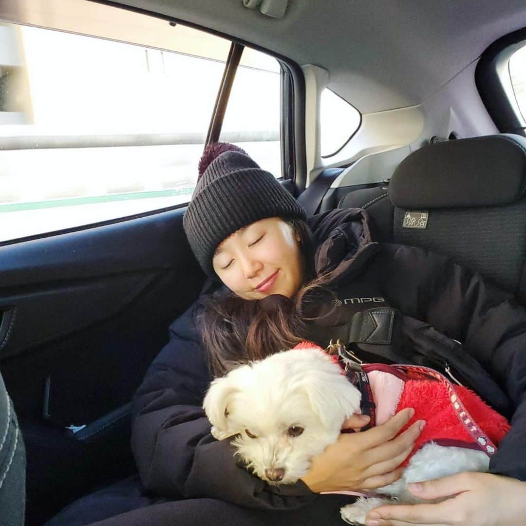 澤山璃奈さんのインスタグラム写真 - (澤山璃奈Instagram)「#こたりな 🐶🧜🏽‍♀️💖  #保護犬　#里親　#マルチーズ　#チワワ　#ちわまる #買う命より救う命の選択を　#毎日すっぴん　#dogstagram #doglover」1月28日 13時35分 - rinasawayama