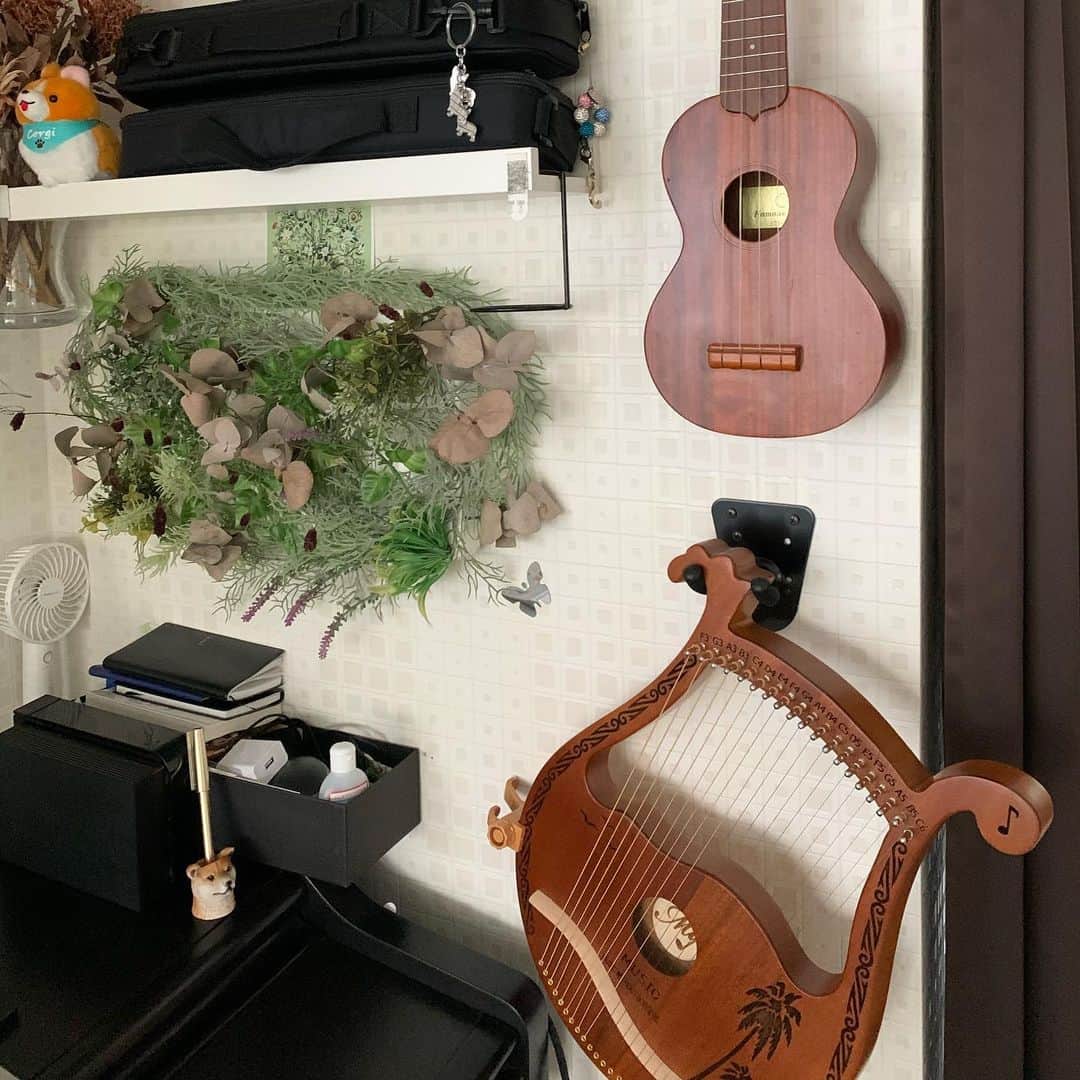 橋本志穂さんのインスタグラム写真 - (橋本志穂Instagram)「やっと届いた  楽器の壁掛けフック  柱が通っている場所を確認して 取り付けました。  これでやっと 楽器置き場ができました。」1月28日 13時52分 - shihohashimoto3