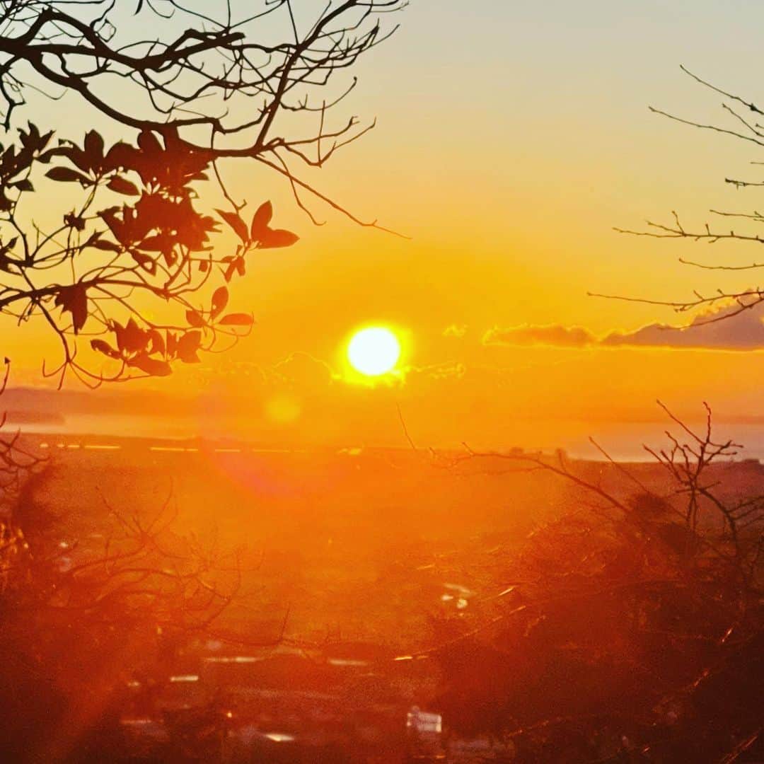 ウルフ・アロンのインスタグラム：「明けましておめでとうございます🌅今年もよろしくお願いいたします。  #いまさら」