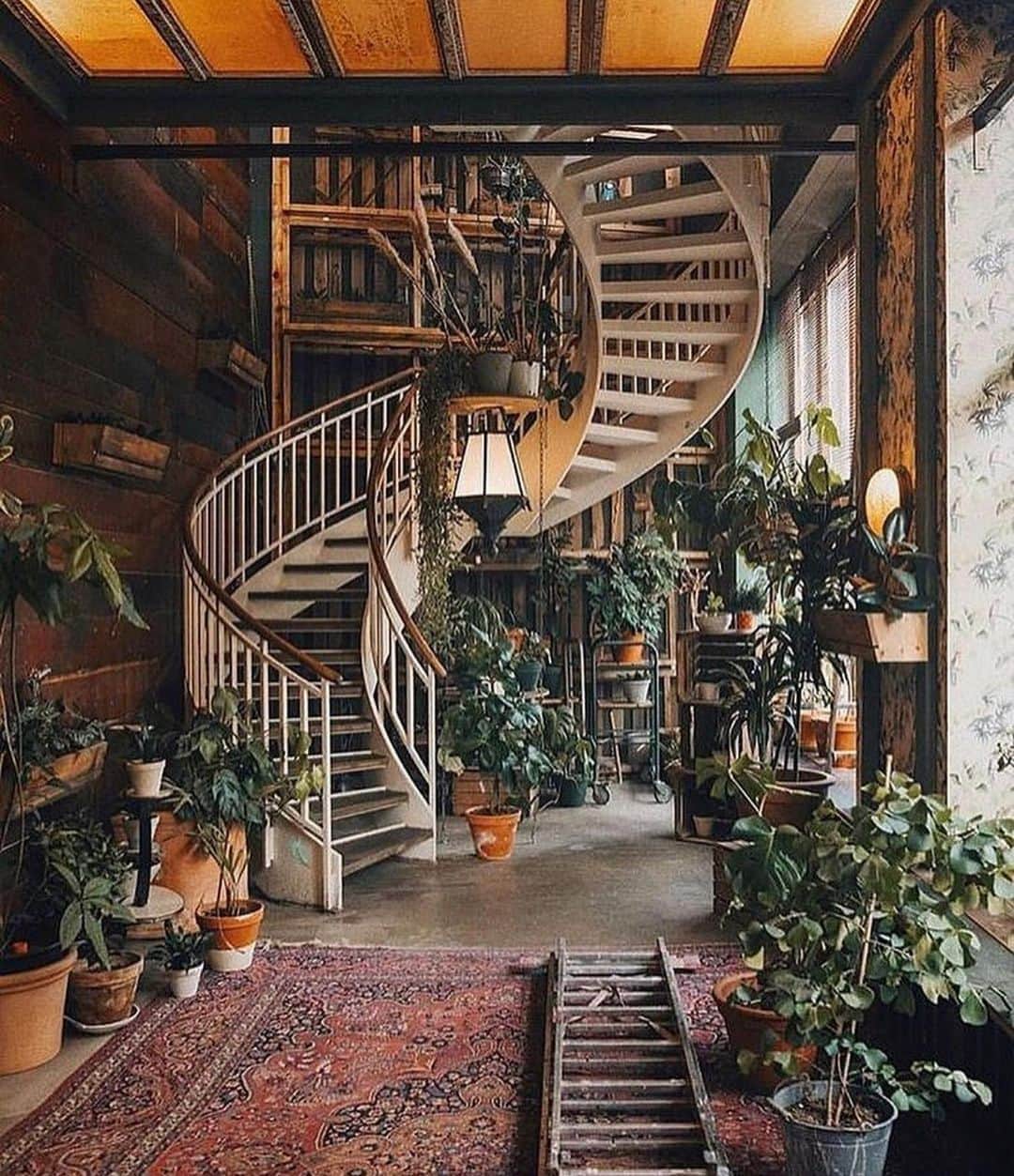 のインスタグラム：「Vintage gem 😍 via @doyoutravel」