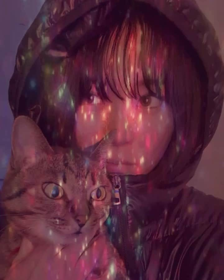 DJ mariennuのインスタグラム：「冷え込みますね🐈 身体を冷やさないように気をつけよう🤍 #タイミングぴったり #👀 #cat #catstagram  #猫　 #猫のいる暮らし  #ねこすたぐらむ」