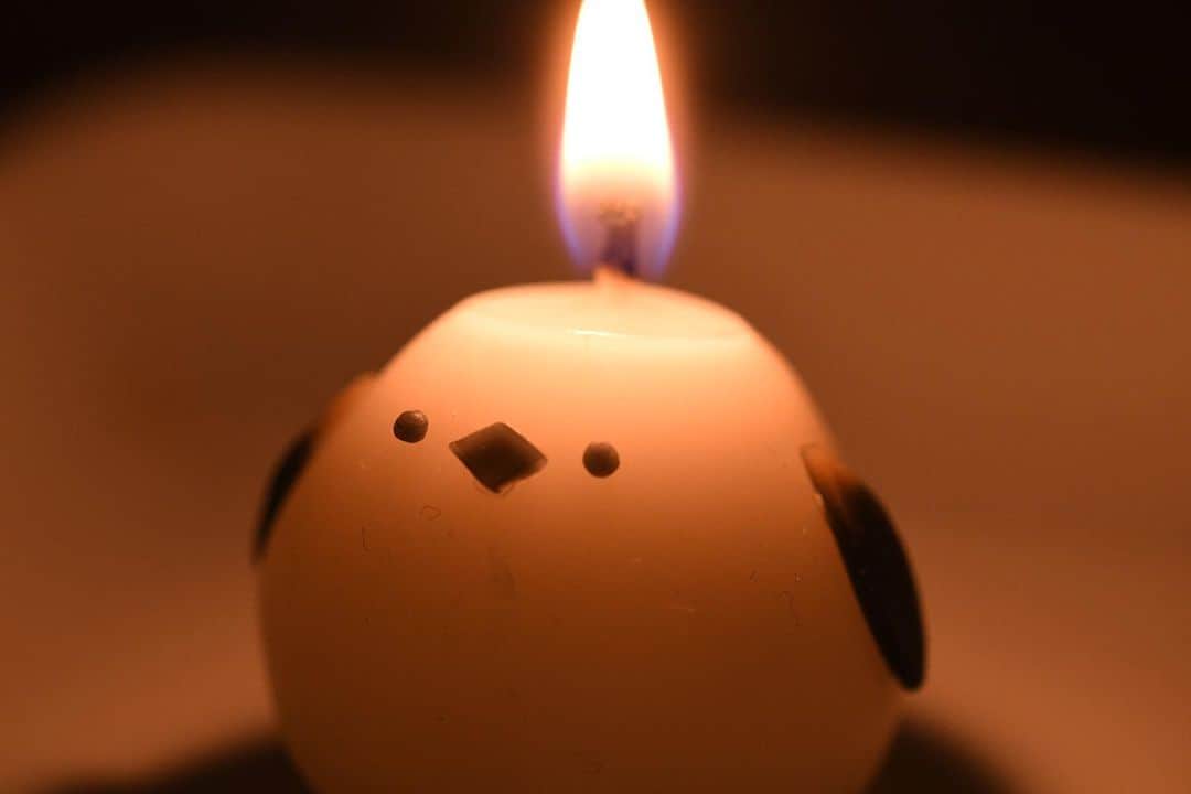 かっぱさんのインスタグラム写真 - (かっぱInstagram)「. . ミツロウワックスで、シマエナガのキャンドルを作ってみました❄︎ おもちみたいでかわいらしいです🐥 . . #シマエナガ #キャンドル #シマエナガキャンドル #手作りキャンドル #ミツロウキャンドル #candle #simaenaga #diycrafts」1月28日 14時35分 - kappa_83