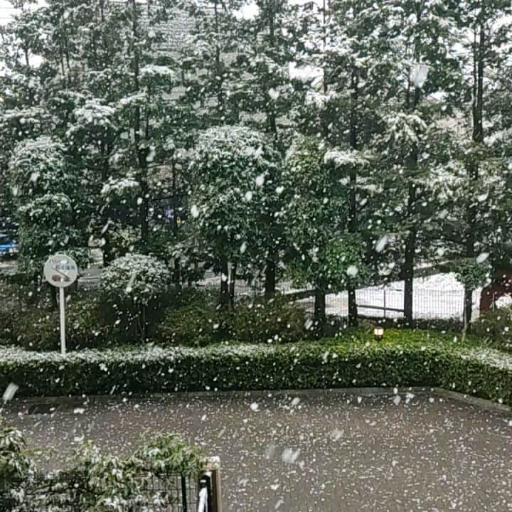 日向正樹のインスタグラム：「雪降ってきたよ〜。 #東久留米」