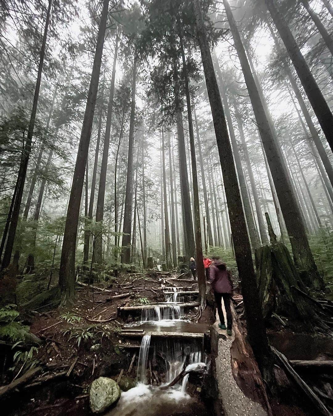 のインスタグラム：「This trail is very special to me. It’s in my parent’s backyard and I have walked it hundreds of times. I feel so privileged to have grown up on the North Shore with easy access to the forest my whole life. Being in nature has always been therapeutic for me. It grounds me, quiets my mind, and puts everything in perspective.   The new #OuterPeace initiative from @arcteryx will help fund organizations providing space and opportunities for everyone to spend time in nature. Because everyone should have access to 🌲 🏔 ✨   📍 Tsleil-Waututh, Squamish, and Musqueam Nations.   Photo @jj_mah」