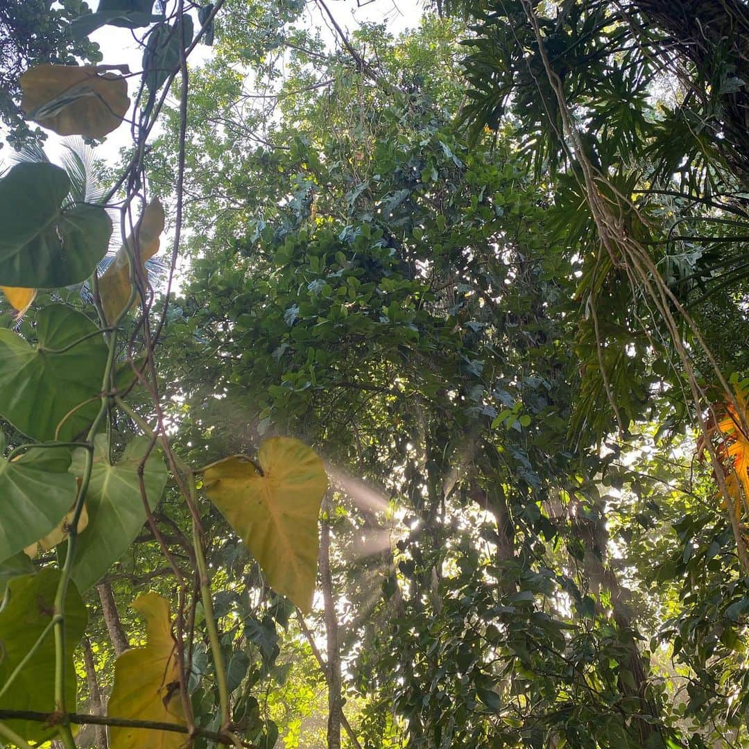Herizen Guardiolaさんのインスタグラム写真 - (Herizen GuardiolaInstagram)「Really missin Costa Rica! What a time ✨」1月28日 6時23分 - herizen_fawn