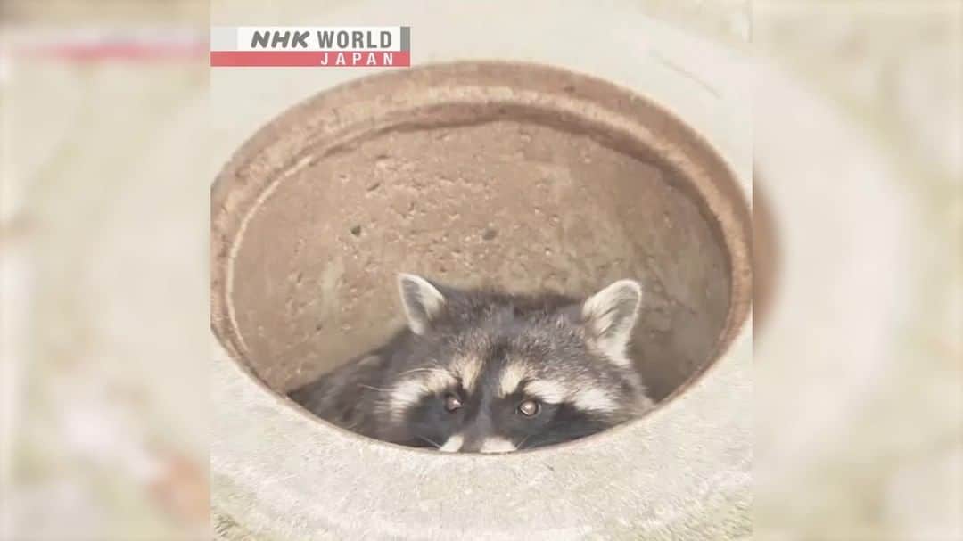 NHK「WORLD-JAPAN」のインスタグラム
