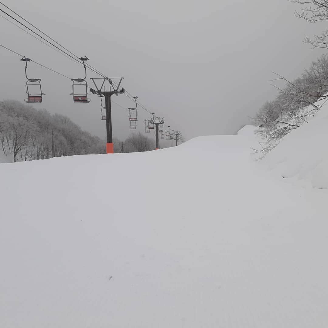 のインスタグラム：「おはようございます！栂池高原スキー場朝イチレポートです！  気温　-3℃　積雪　269cm 天候　霧　風速　0m/s  霧も徐々に晴れそうです。 視界がよくなるまで滑走にはご注意ください。  皆さまの御来場お待ちしております！  本日の栂池天気予報は→https://weathernews.jp/s/ski/spot/34808/  #栂池高原#栂池#スキー#スノボー#雪 #tsugaike」