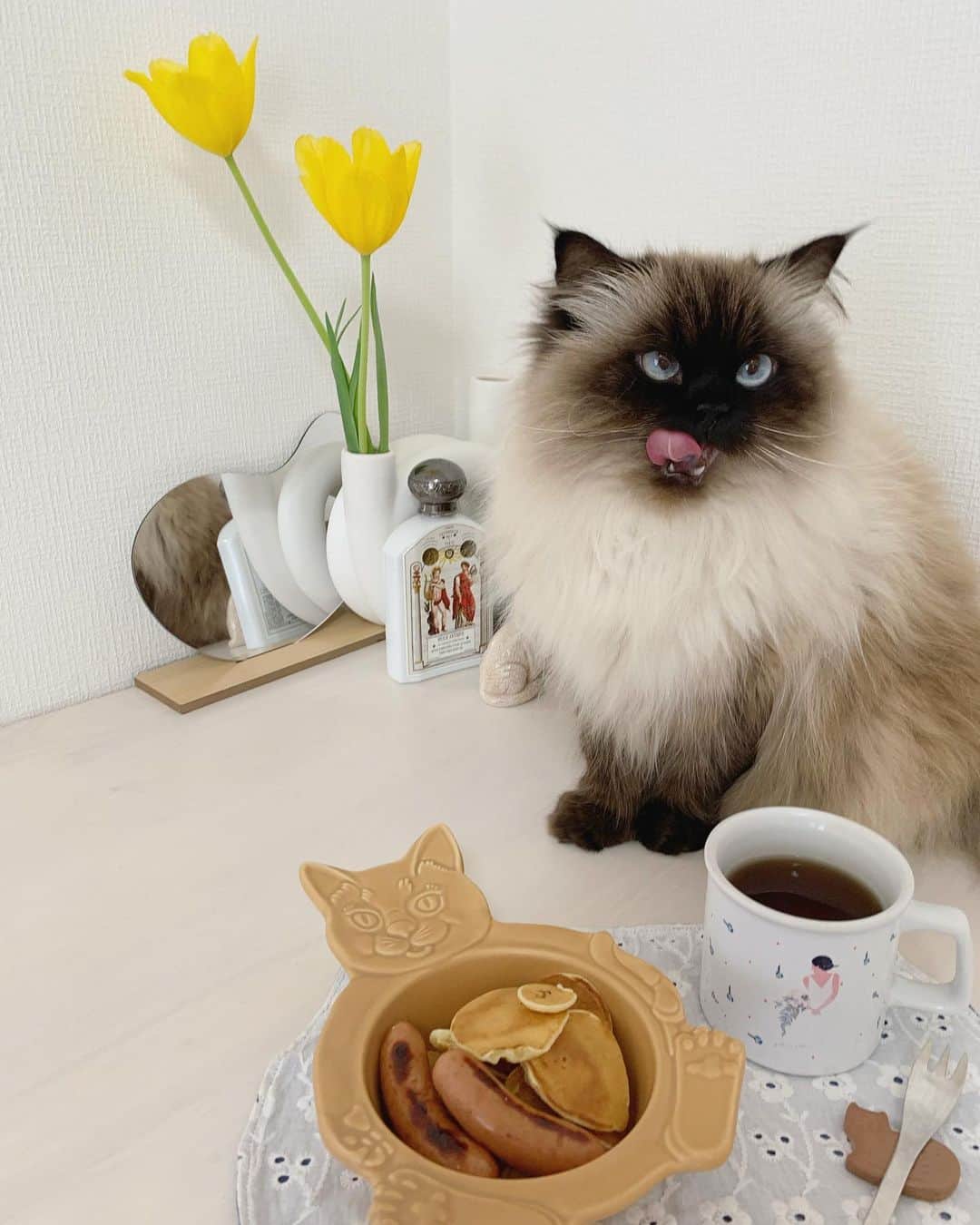 plumeのインスタグラム