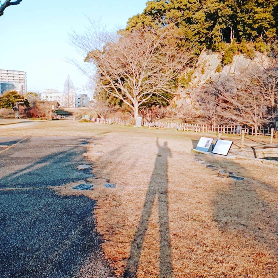松本隆博のインスタグラム：「。 日の出の時に写真撮る と、めちゃくちゃ足 なが～～～～くなる から良いよ(^^ゞ 早起きは三文の徳。 今日も一日、 足の長い一日(^_^)  ～人生遊歩道～」