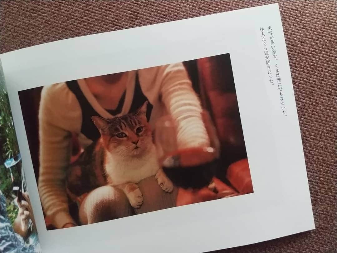 リンネルさんのインスタグラム写真 - (リンネルInstagram)「リンネル本誌でも大活躍の写真家、安彦幸枝さん @abikosachie の写真集が発売になりました🐈️✨  『庭猫スンスンと家猫くまの日日』  庭にやってきた風来坊 スンスンと、長年暮らしてきた友 くまのことを写真と簡潔な言葉で綴った一冊。写真集だけどこれはもうお話でした。  ぱっと開いたページの写真をみるのも好きですが(どの写真も空気が澄んでいて安彦さんのチャーミングさがあふれています)、はじめから言葉と一緒にページを進めていくとページをめくる手がとまらなくなって、後半の「スンスン大根くま大根」という章(ネーミングもかわいすぎる)にさしかかった頃には涙しながらも満ち足りた気持ちになっていたのでした。  私は猫と暮らしたことがないけれど、一緒に過ごしたら今よりもっと日日にスポットライトがあたる瞬間が増えるのかもしれないなと思いました。そういう視点をもって大切に暮らしたいな、スンスン、くま、ありがとね、という気持ちでいっぱいになりました。  ちょうど今、森岡書店さん @moriokashoten で展示も行われています。スンスンとくまのかわいいパネルがお出迎えしてくれるそう。わたしも会いに行こうと思います♡」1月28日 9時02分 - liniere_tkj