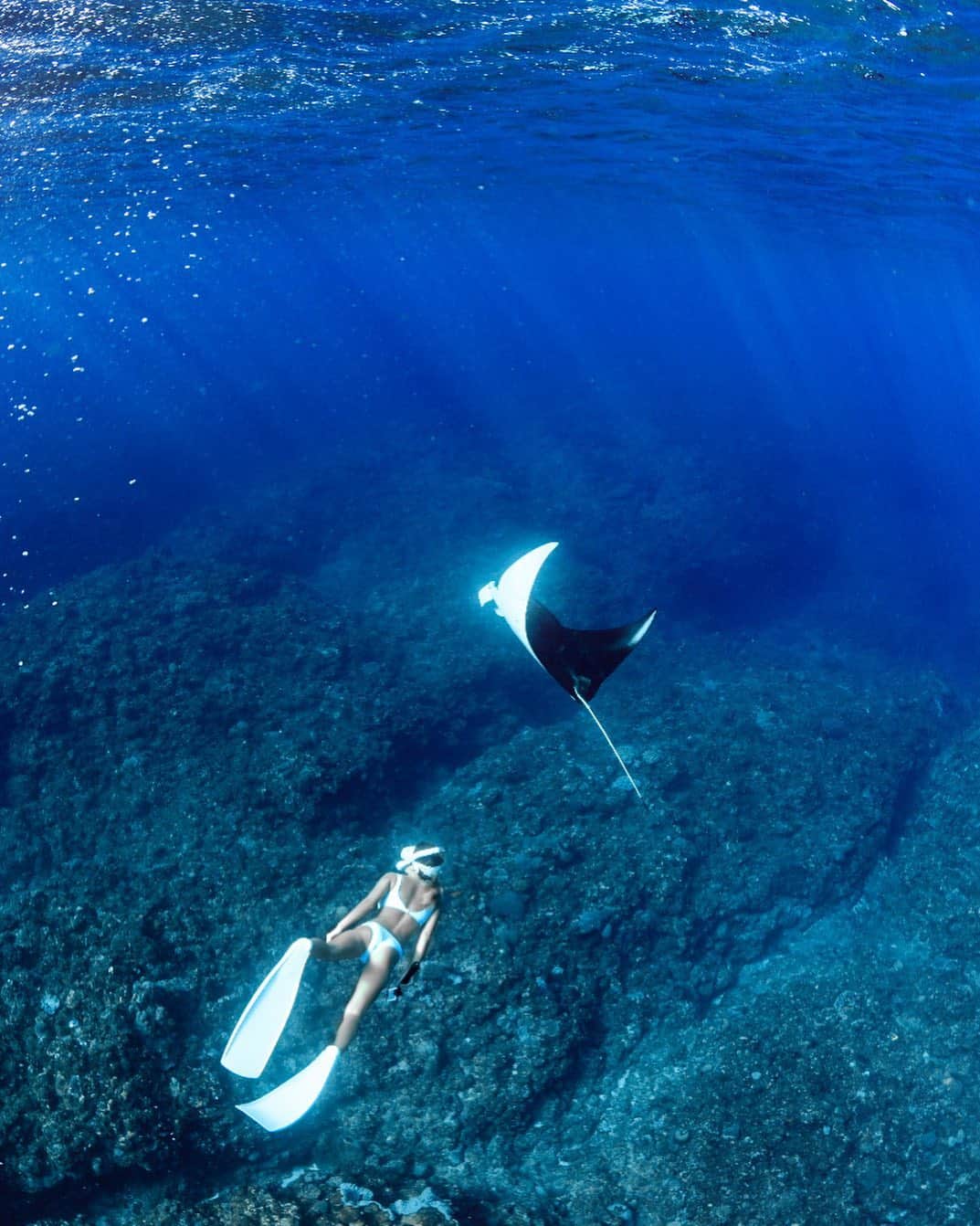 maakoのインスタグラム：「日本の海は クジラもマンタもイルカもサメも カラフルなお魚もかっこいいお魚もみんな住んでいて 珊瑚も水も綺麗で素晴らしい 全てあって本当に素晴らしい🥲💙👏🏾👏🏾👏🏾  クジラの鳴き声を聞きながら🐳♩ マンタに出会える海✨✨✨  📺Netflixにある「テイルズ・バイ・ライト」 “楽園に忍び寄る脅威　前編・後編“ とーーーーってもよかった✨ ラジャアンパットが舞台で すてきな映像の連続と言葉で 素晴らしかった🙏🏾🐳 海好きの方ぜひ観て〜🥰💕  「人々を惹きつけ 心を掻き立て 守りたいと思わせる写真が必要だ 僕らは自然と独立していない 自然の一部なんだ  人が水中でいかに弱い存在か伝えたい 器具をすべて外し本来の自分になる」  Snorkeling mask &fins🤿 @gull_diving1955  石垣島DIVING SHOP ⛴ @seamerrily #真冬もビキニ👙」