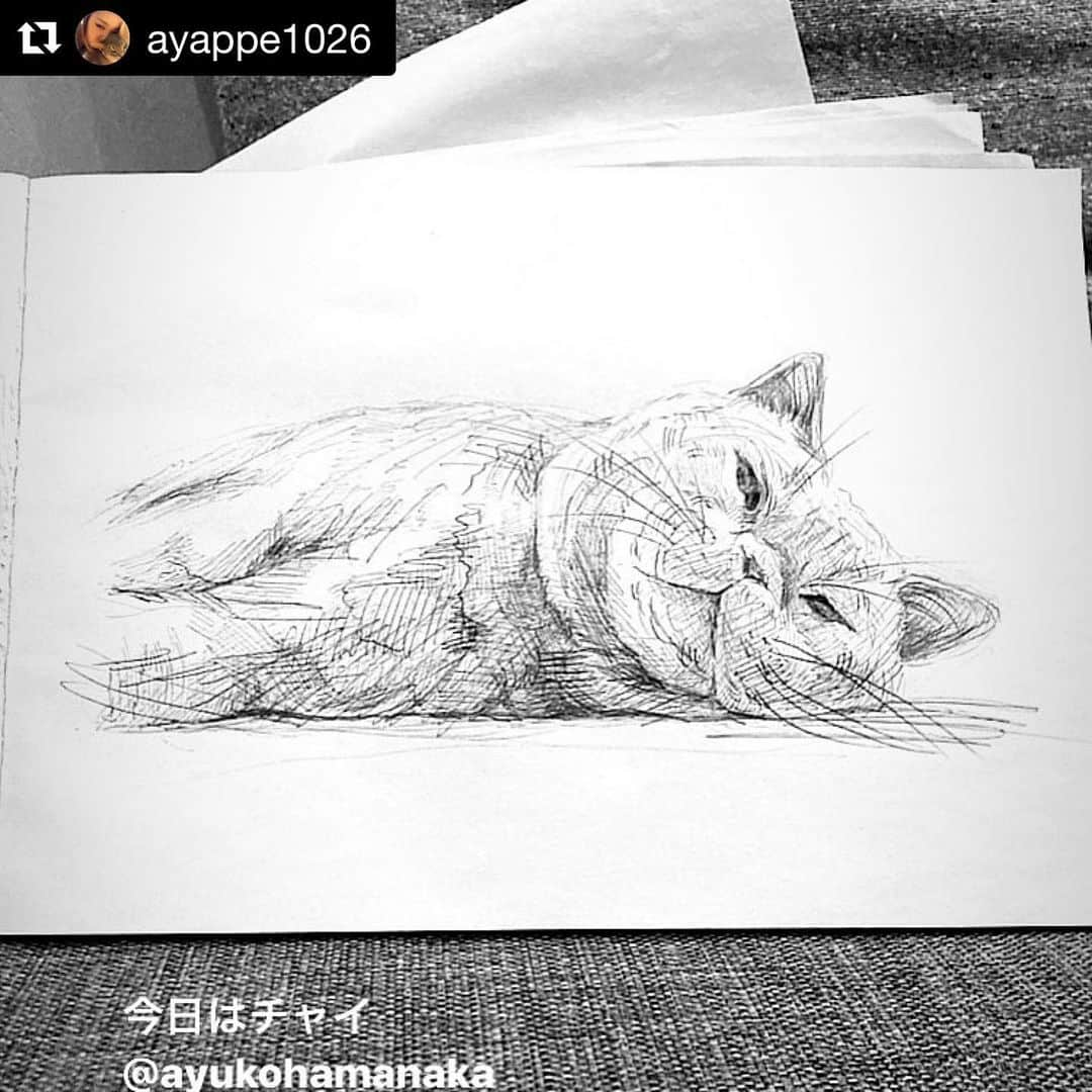 濱中鮎子さんのインスタグラム写真 - (濱中鮎子Instagram)「私のドS感にもひょうひょうと身をこなし、いつも最高のパフォーマンスを見せてくれるもつ子さん。  後輩だけど、いつもほんとにすごくすごく尊敬して頼りにしている。  今も困るとすぐ連絡してます✌️  クリエイティブ女史！出会った頃はまだ22歳。芸大を出たてで、前髪が目に入ってる、いや目が髪で見えない、華奢な女子でした。  彼女が入社前に、目の前で貧血で倒れられたのがほんとの出会いだけれど、  その後入社してきてくれて更に縁あってトレーナーになれて嬉しかったなぁ！  前職時代、素晴らしいコたちのトレーナーやらせてもらった！  彼女、目に髪は刺さっていたけれど、あの時助けていただいた...と言われた日、鶴の恩返しかなと思わせる独特の個性が既にありました。笑 これからも素晴らしいアイディアでみんなを驚かせてください！  チャイを描くのは簡単だそうです。 天才かっ！  #髪色七変化女子 #緑の時は漏れなくカビ生えてるよと言われるね #沼から来たのと言われてもハイと答える  #Repost @ayappe1026 with @get_repost ・・・ 本日はアイドル猫チャイくんを描いてみた。濱中さんは私が入社した時のトレーナーさん。RayやったりRBSやったり楽しいこと一緒にやらせて貰ってきたけど、辞めてからもずーっと仕事出来ているのがほんと嬉しい‼️ #出逢いに感謝 #cat #sketch  #ボールペンデッサン #これはただの趣味です」1月28日 9時44分 - ayukohamanaka