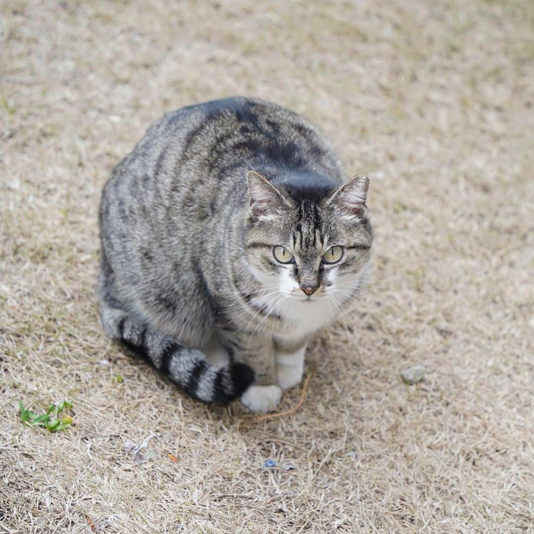 山田稔明のインスタグラム