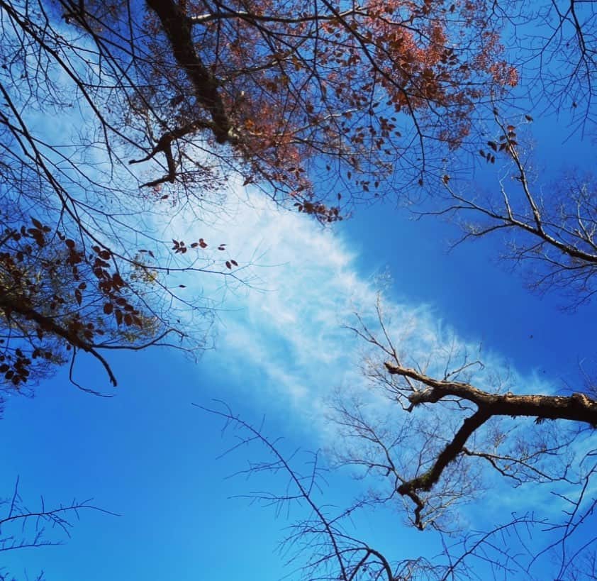 穂川果音さんのインスタグラム写真 - (穂川果音Instagram)「おはようございます😃 昨日、投稿忘れてはぶん、アップするよ〜😊  　#おはようございます #sky #skyphotography #冬　#冬の空」1月28日 10時23分 - hokawakanonn