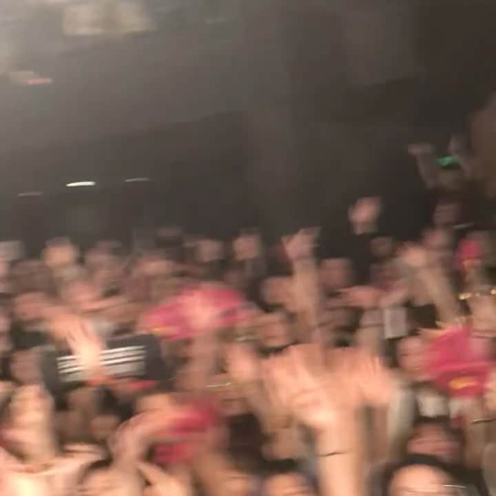 のインスタグラム：「こーゆーのがやっぱ1番いい動画だー🙋‍♂️  人に触れたり触りたい  声がきけたらなー♪」