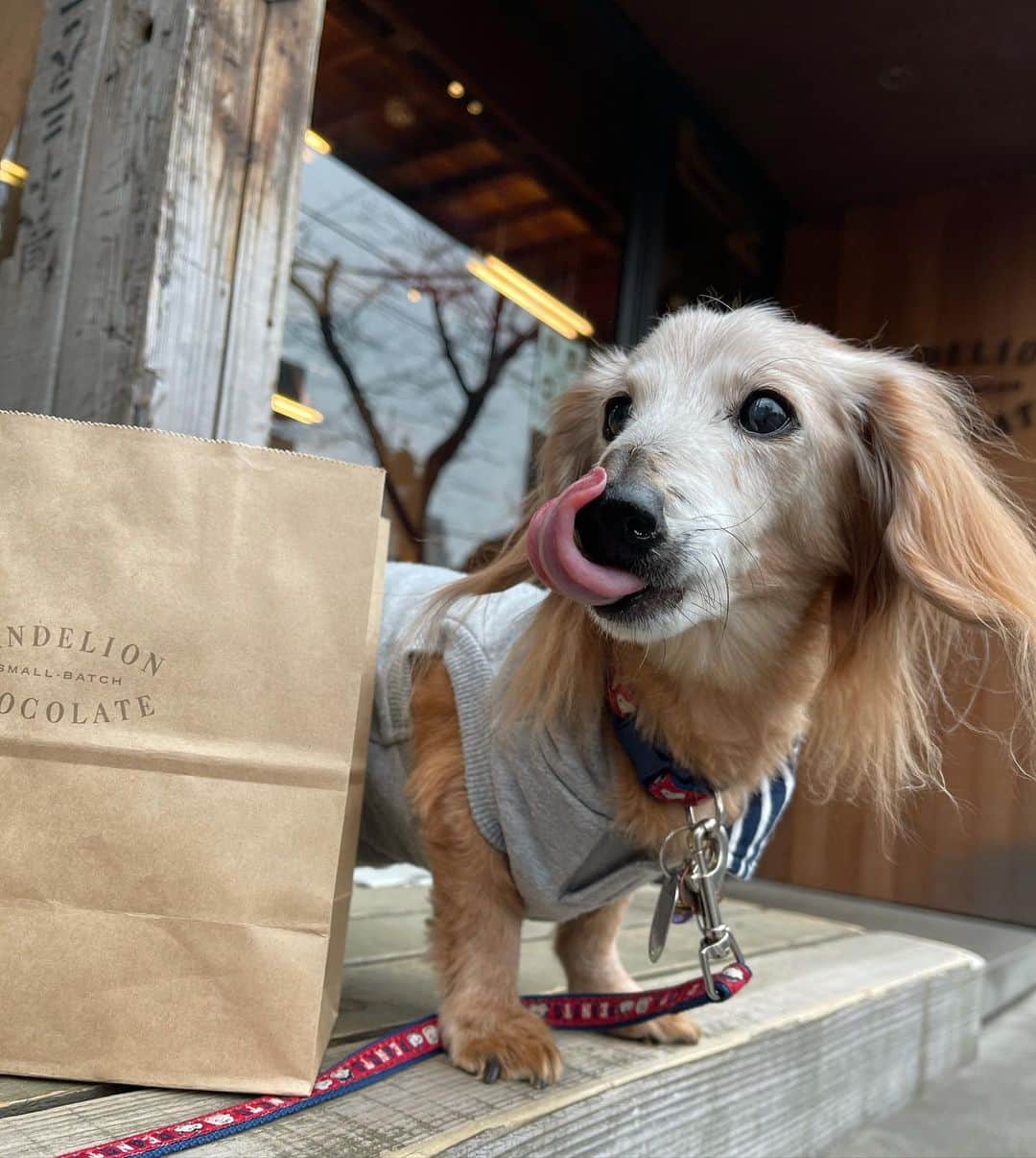 向日葵?のグルメインスタ